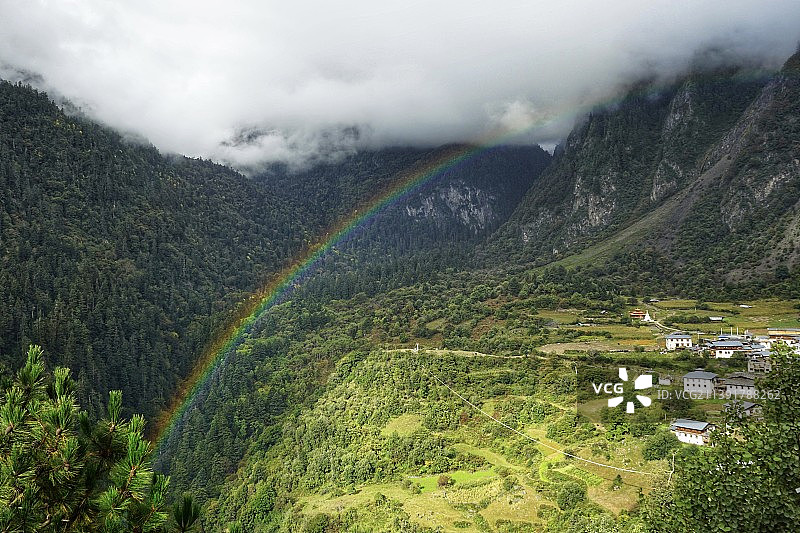 空中景观中树木的高角度视图 彩虹 雨崩图片素材