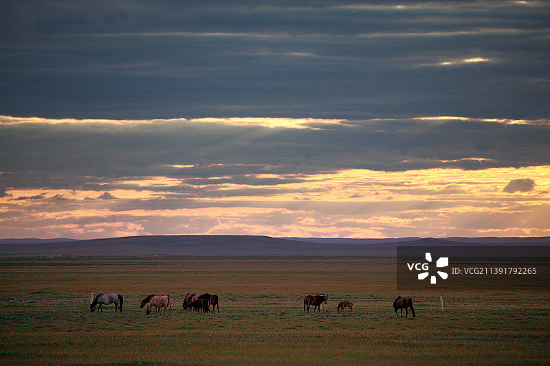 草原暮色-那年在东乌珠穆沁图片素材
