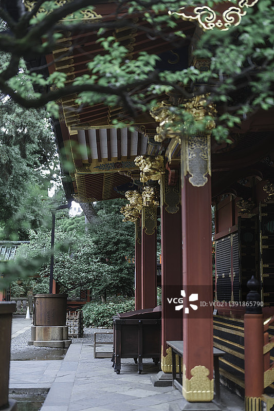 紫阳花图片素材