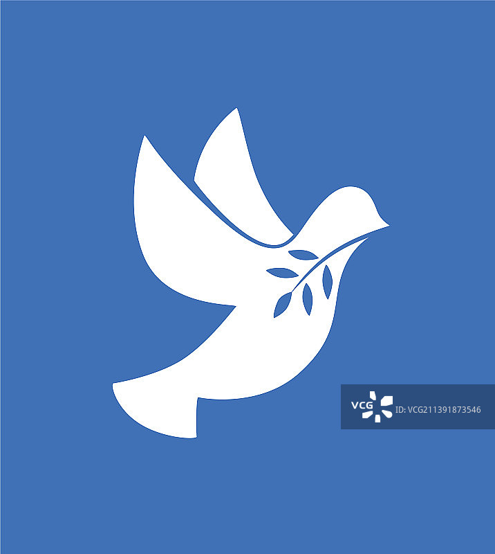 一只象征和平的白色鸽子图片素材