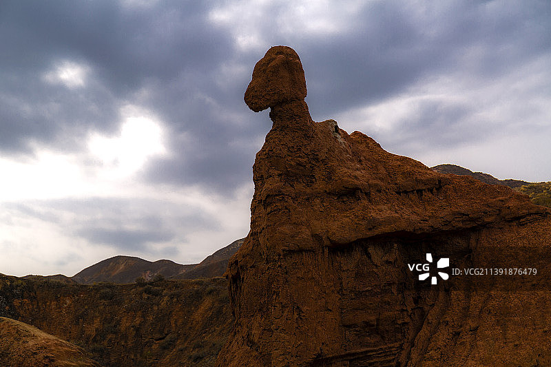神驼迎宾：拍摄于冰沟丹霞图片素材