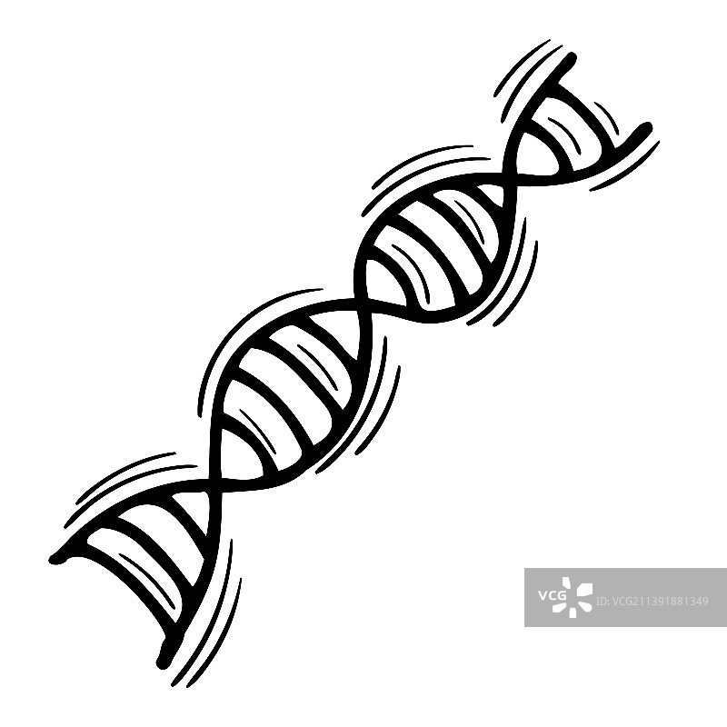 手绘DNA轮廓图标图片素材