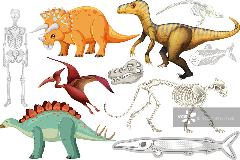 恐龙和化石合集图片素材