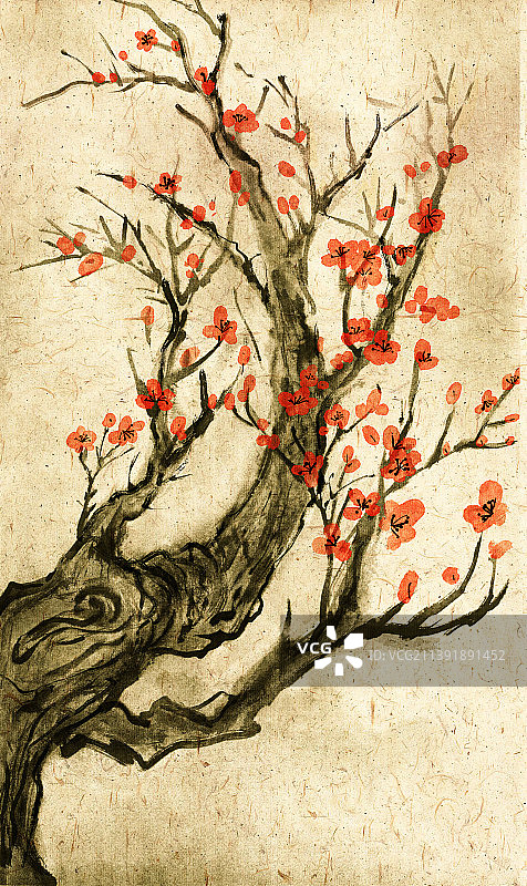 金色的梅花正在盛开图片素材