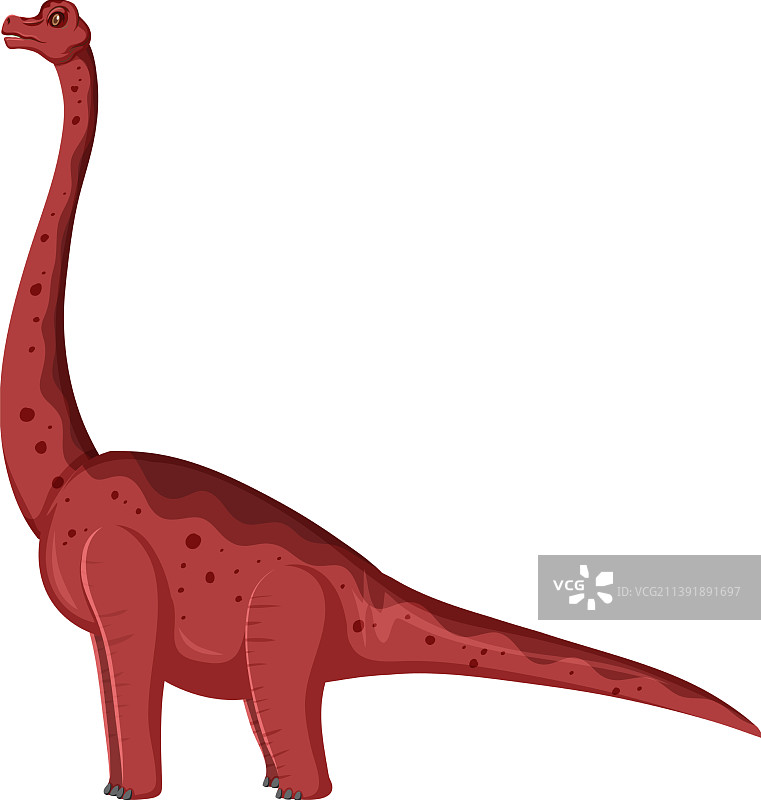白色背景下的腕龙恐龙图片素材