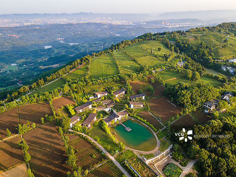 重庆定心茶园日出风光图片素材