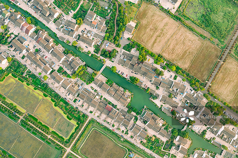 苏州高新区浒墅关花野圩夏季清晨朝阳下田园乡村风光图片素材