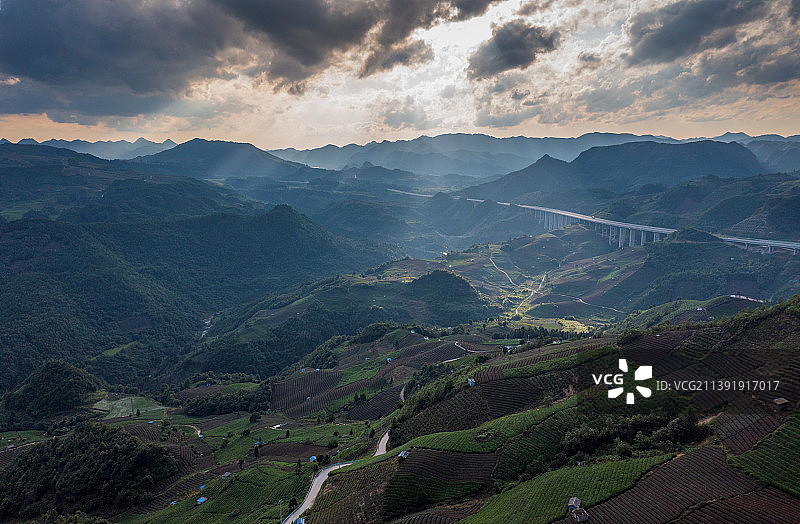 贵州贵定县云雾镇，这里的云雾茶山规模巨大图片素材
