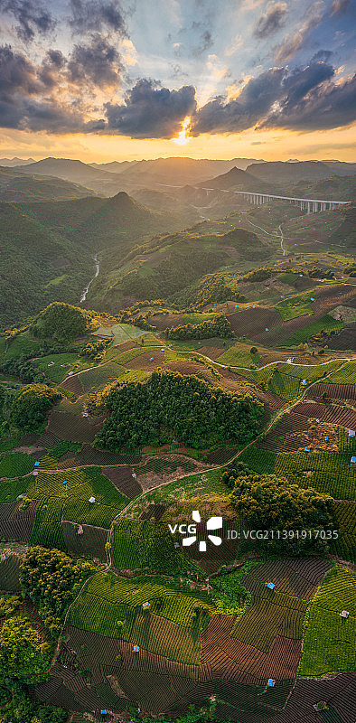 贵州贵定县云雾镇，这里的云雾茶山规模巨大图片素材