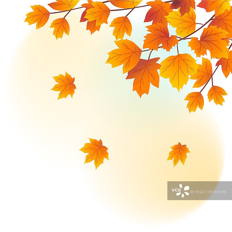 立秋节气唯美风景秋天枫叶落叶收获季节插画图片素材