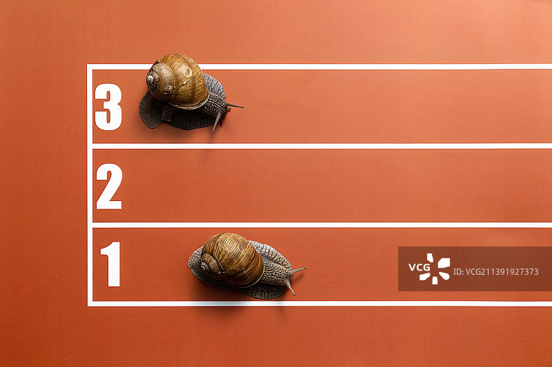 体育场跑道上蜗牛的玩笑比赛图片素材