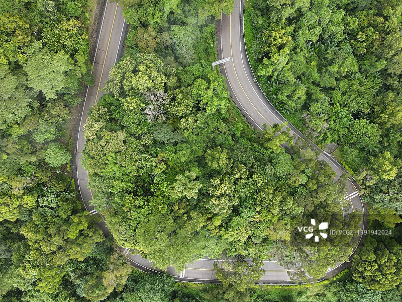 林间林间公路的高角度视野图片素材