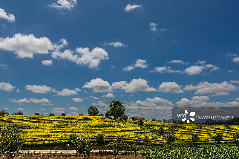 贵州瓮安县的茶旅小镇，是适合摄影的动漫风图片素材