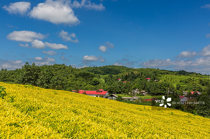 贵州瓮安县的茶旅小镇，是适合摄影的动漫风图片素材