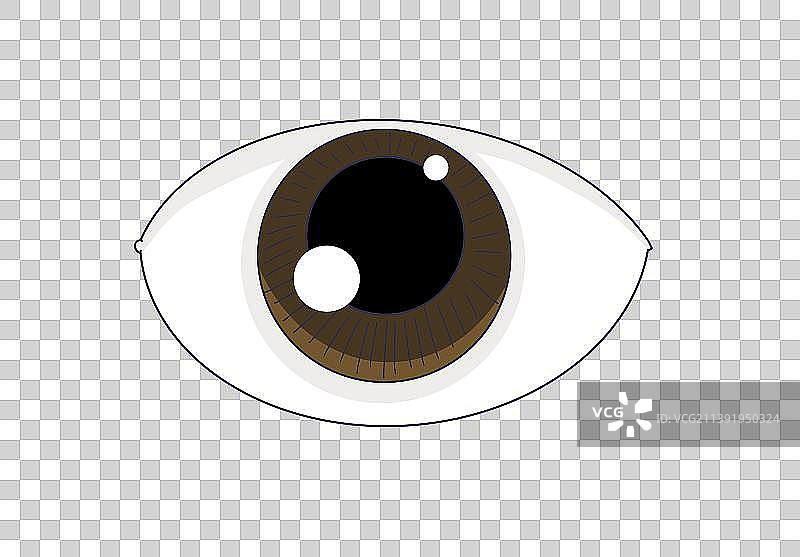 元素：眼睛图片素材