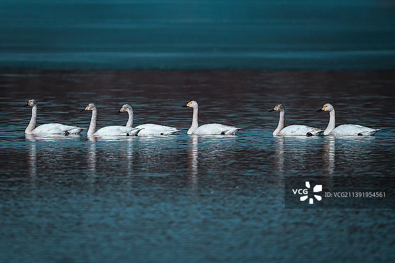 阿尔比斯湖畔图片素材