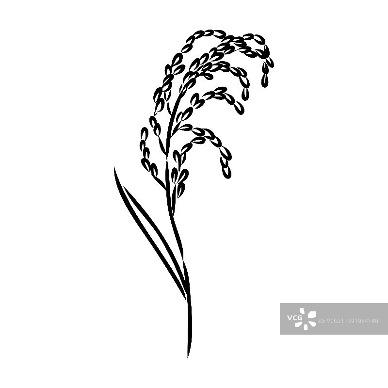 手绘稻米植株与稻田素材图片素材