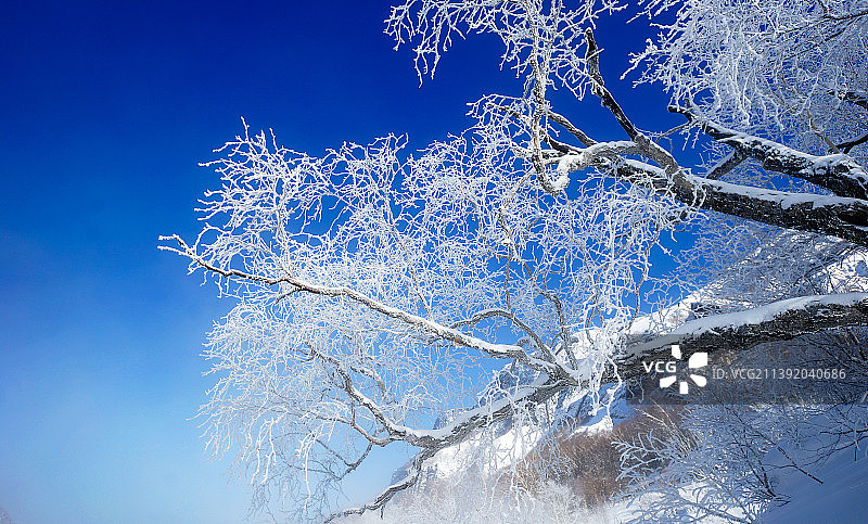 长白山晶莹剔透的雾凇图片素材