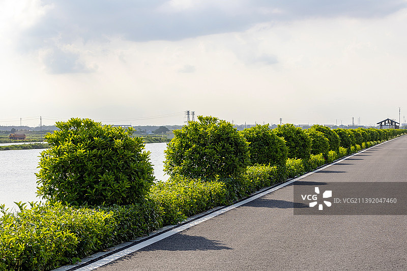郊区公路旁的绿化带风光图片素材