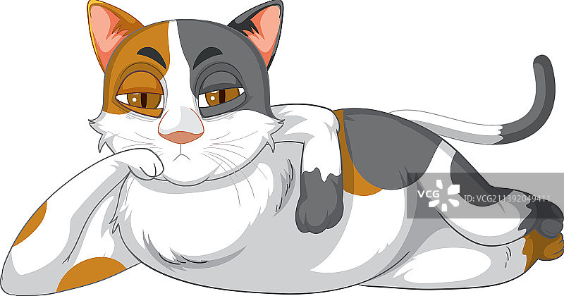 在白色背景下放松的猫图片素材