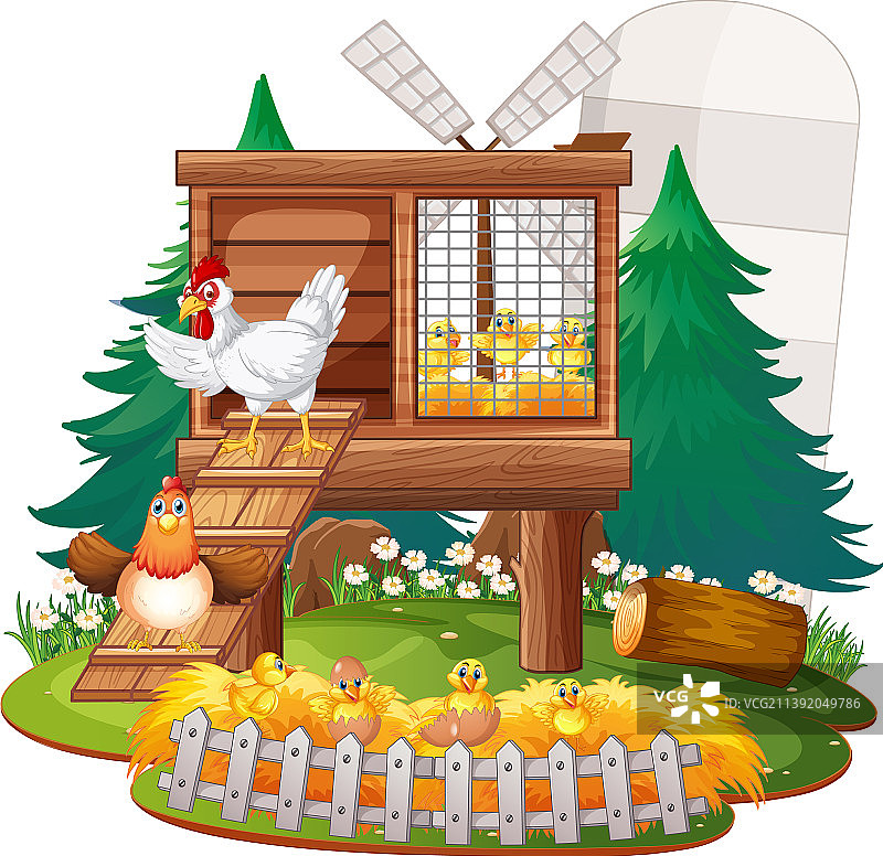 一群鸡的独立场景图片素材