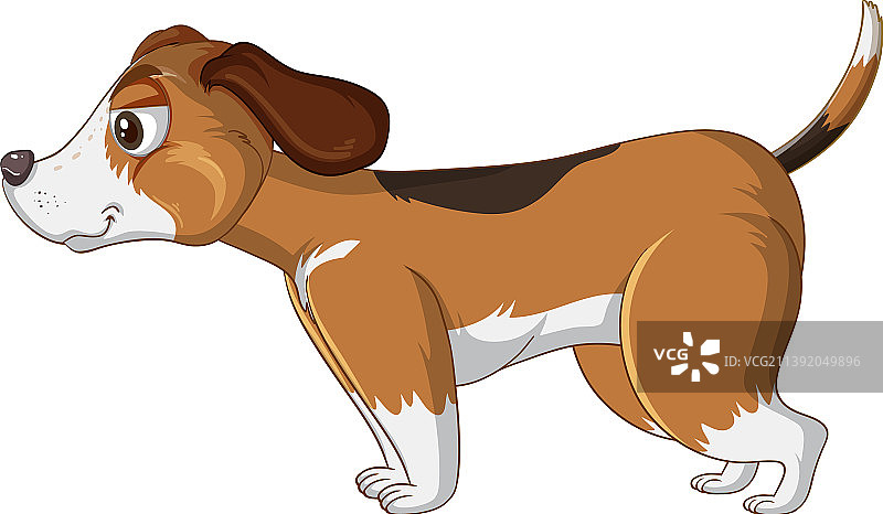 在白色背景上奔跑的快乐的狗图片素材