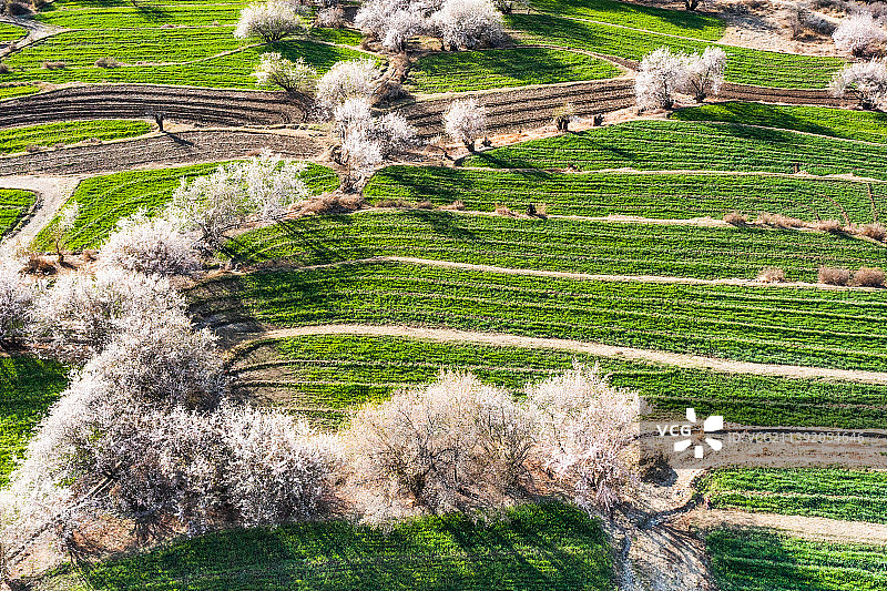 得荣县，春天里图片素材