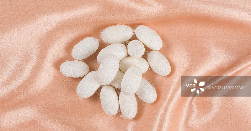 棕色丝绸蚕茧背景图片素材