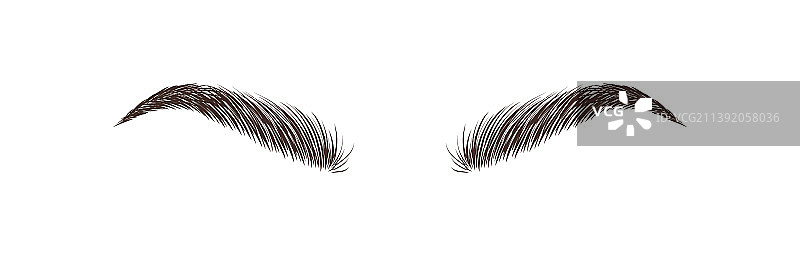 白色背景上逼真的永久眉毛图片素材