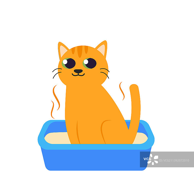 猫咪在猫砂盆里排便图片素材
