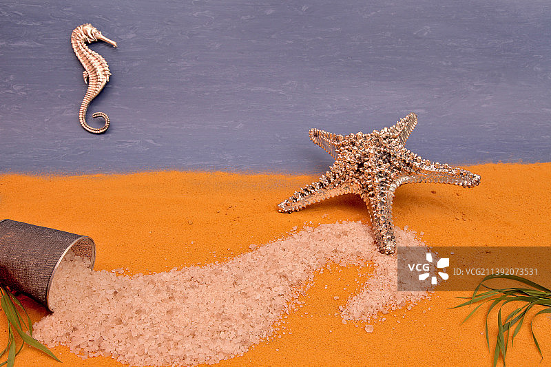 沙滩上与海星在一起的海星的俯视照片图片素材
