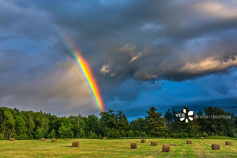 加拿大诺尔顿的田野上空的彩虹美景图片素材