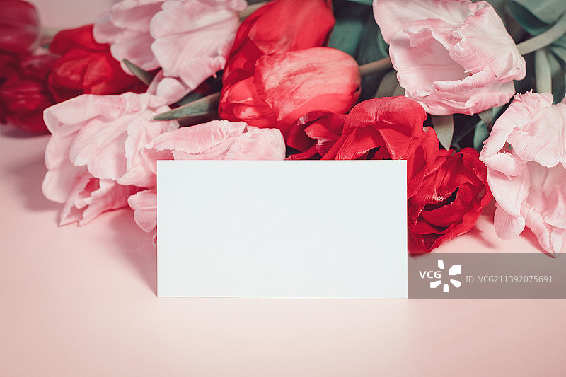 鲜花和纸卡样机，粉色郁金香，带文本区域图片素材