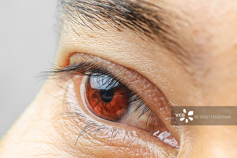 人眼特写图片素材