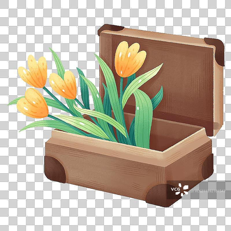 复古植物花卉箱子物品插画图片素材
