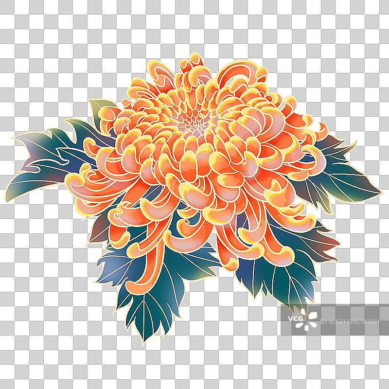 复古古风菊花插画图片素材