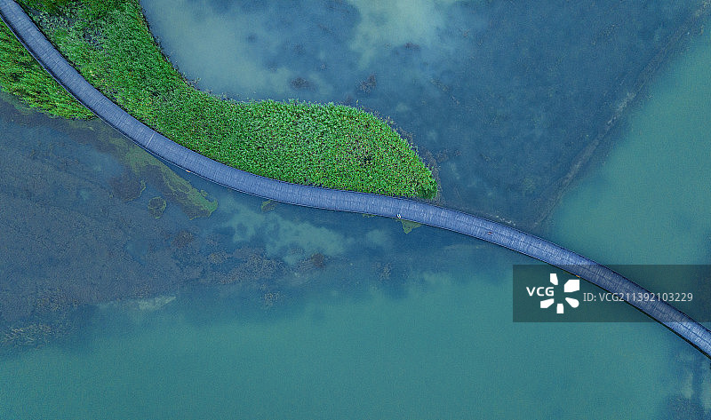 浙江桐乡凤凰湖湿地公园图片素材