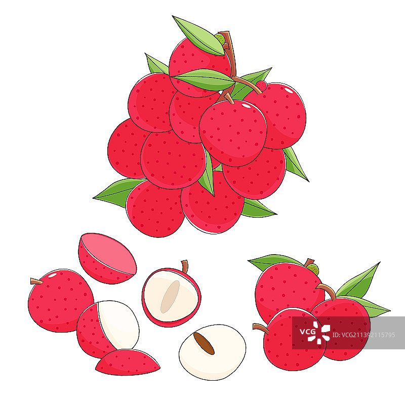 荔枝矢量插画图片素材
