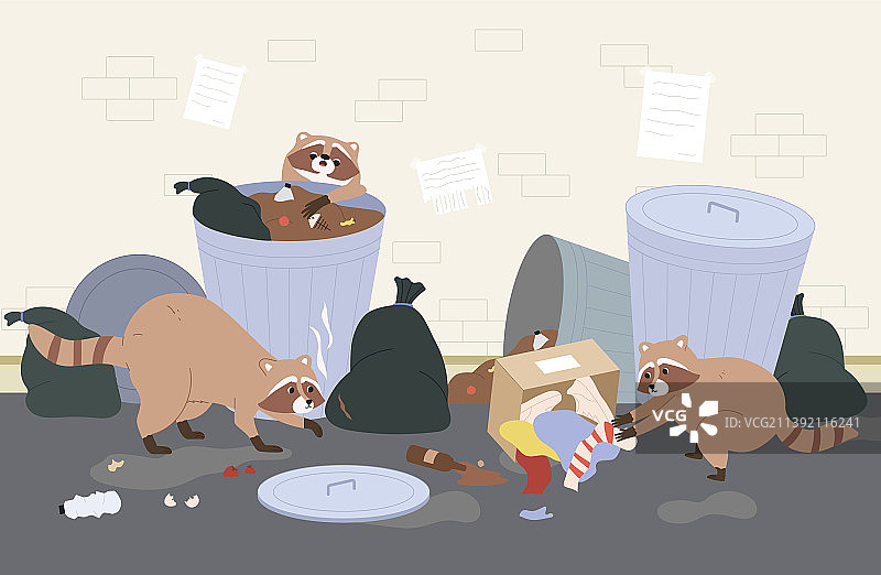 可爱的浣熊图片素材