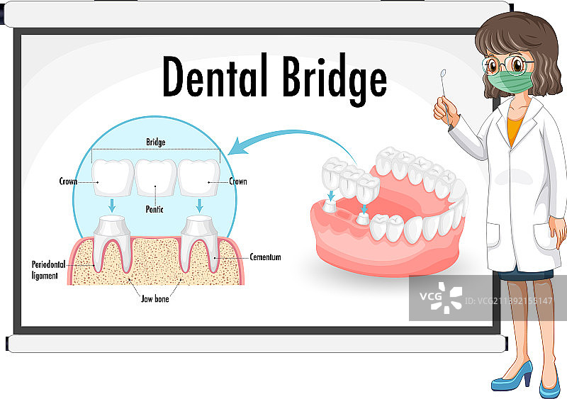 牙桥人体图文信息图片素材