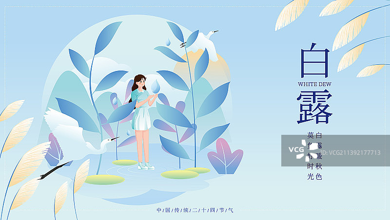 传统节气白露唯美少女矢量插画海报图片素材