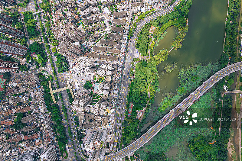 最美绿化的深圳城市图片素材