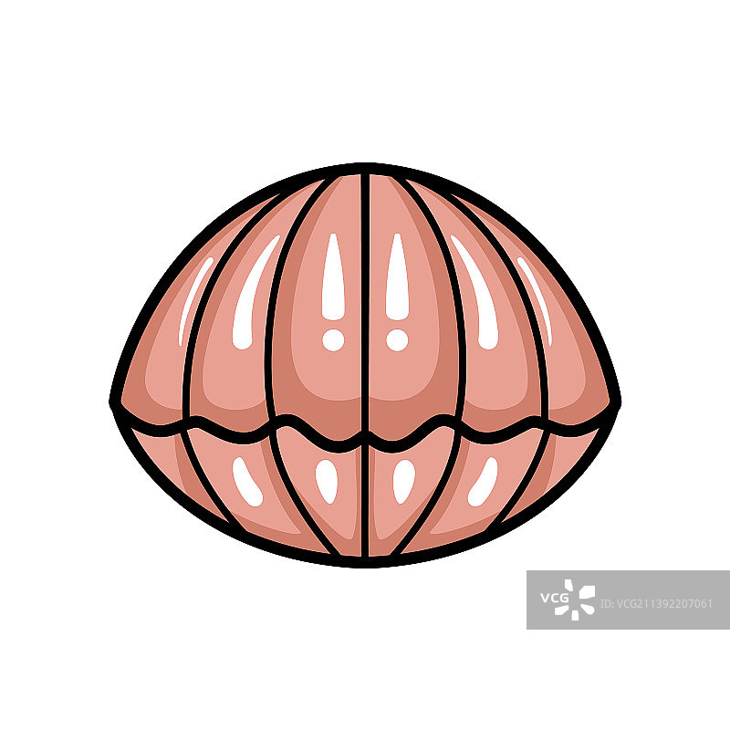 可爱的卡通蛤蜊设计图片素材