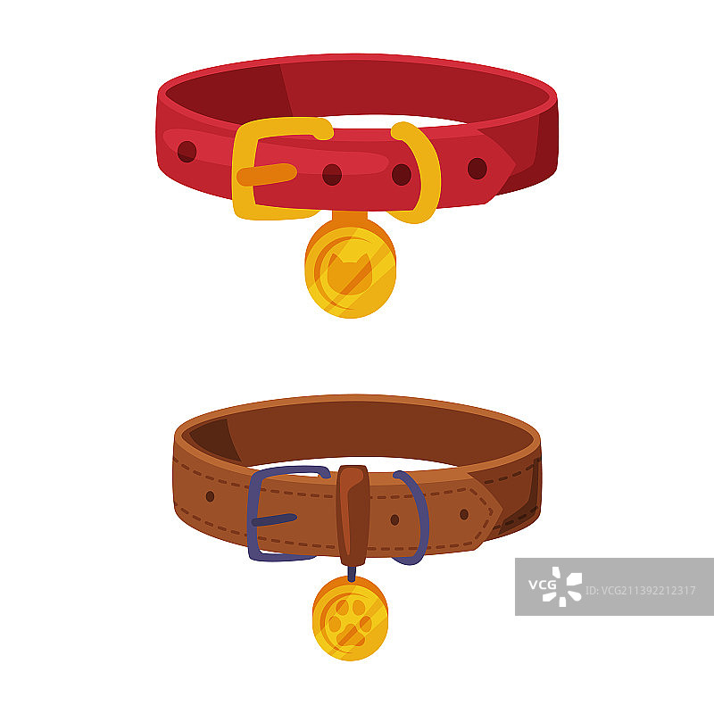 宠物项圈家畜用品套装图片素材