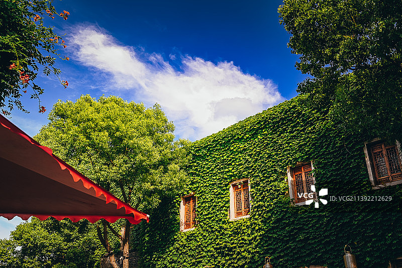 被绿色覆盖的建筑图片素材