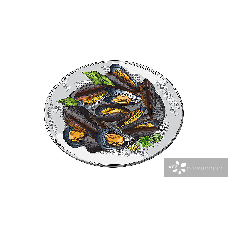 盘子里贝壳上的贻贝蛤复古雕刻图片素材