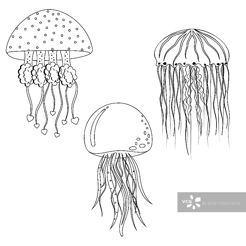 海蜇黑色轮廓填色图片素材