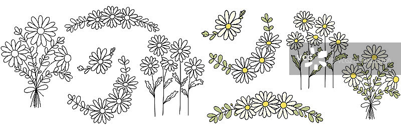 手绘雏菊合集图片素材