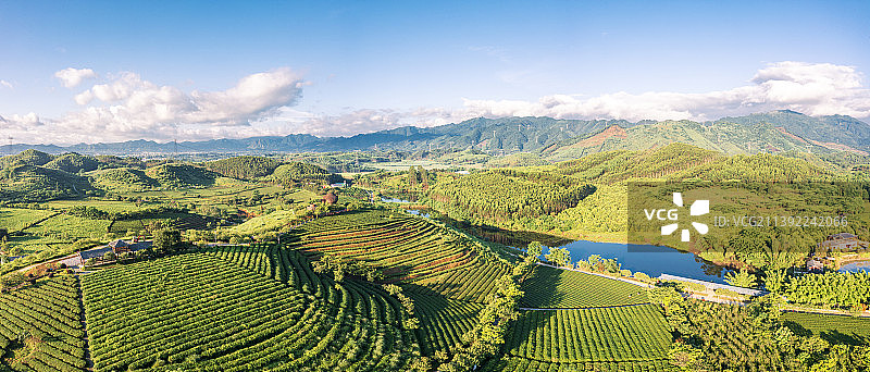 航拍南宁大明山万古茶园图片素材