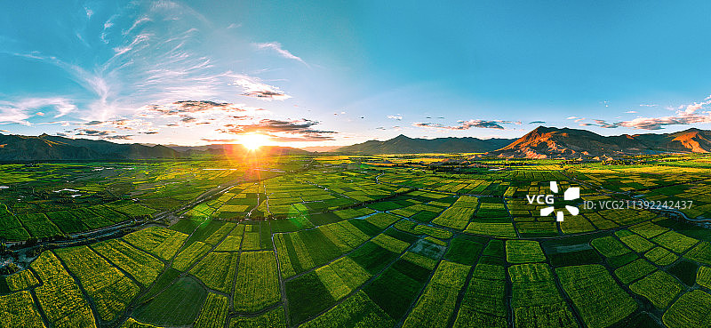 江孜油菜花田全景图片素材